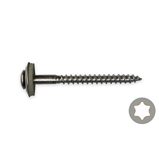 Afdichtingsschroeven TX RVS